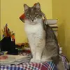 Отзыв от Зоя Березина